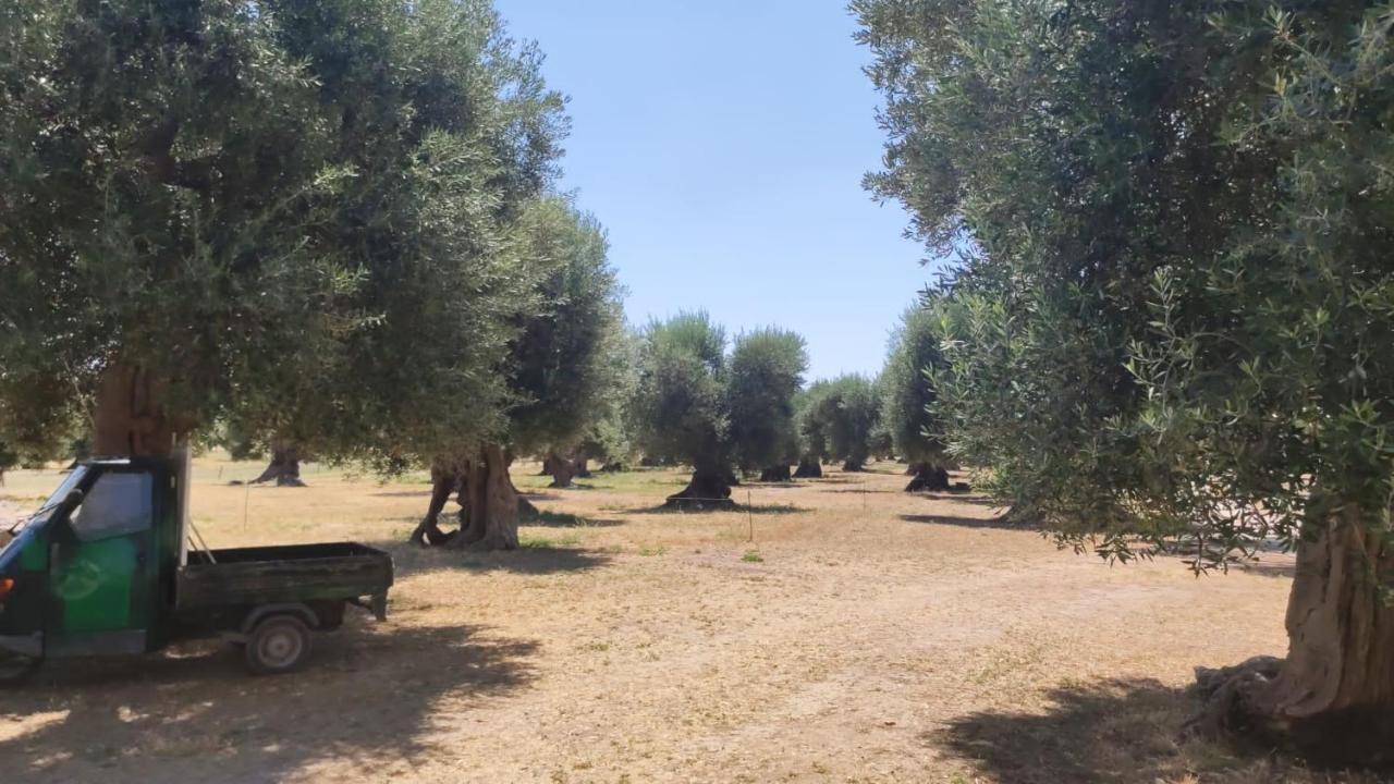 Ych-Le Grotte Di Sileno Bed & Breakfast Castellaneta Bagian luar foto